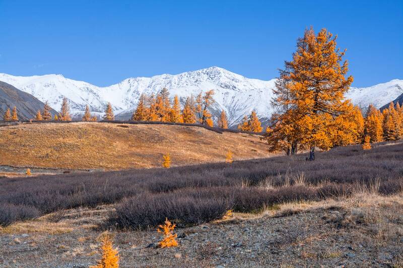 россия, горный алтай, осень Осень на Алтае фото превью