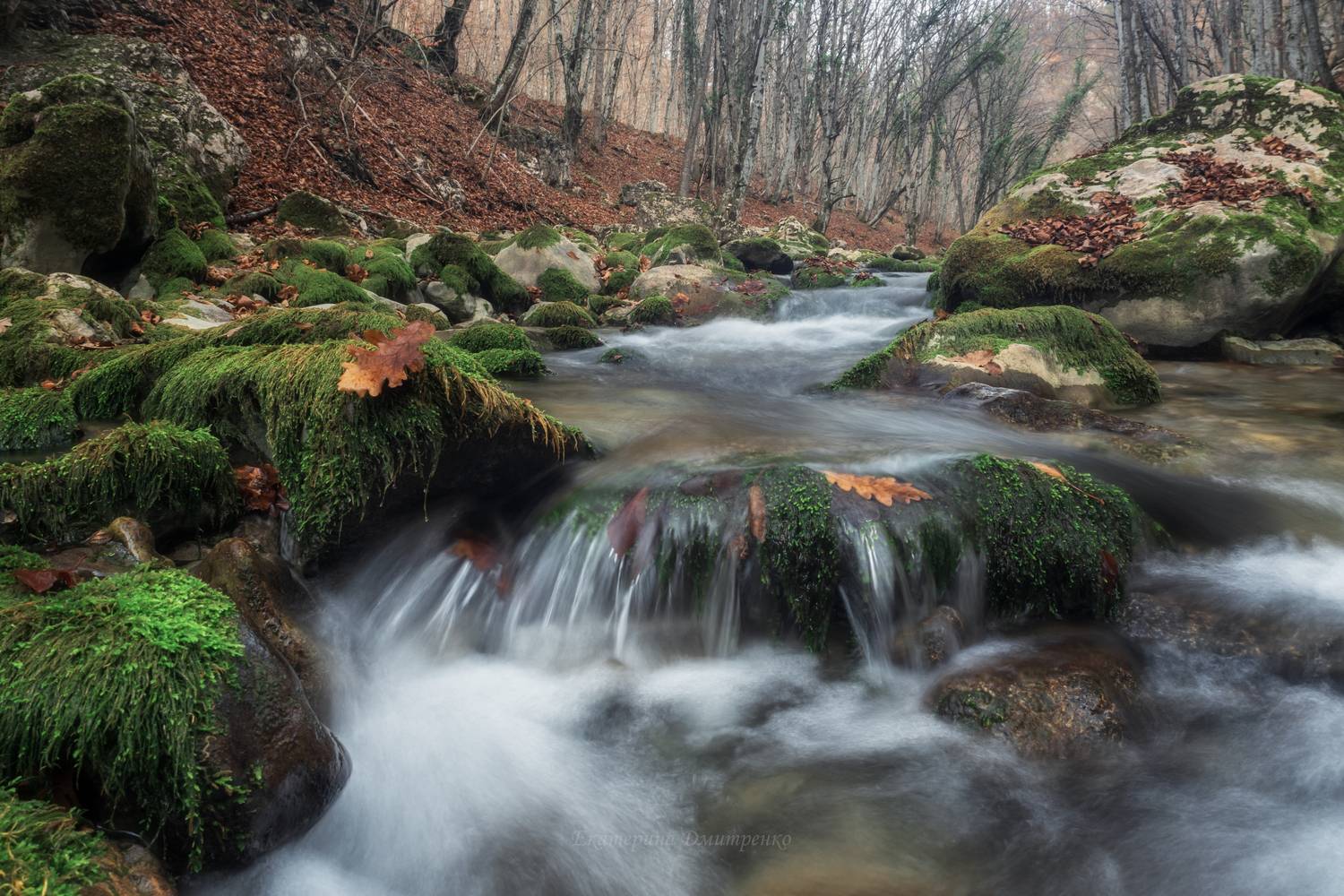 крым, большой каньон, река, пейзаж, горы, Дмитренко Екатерина