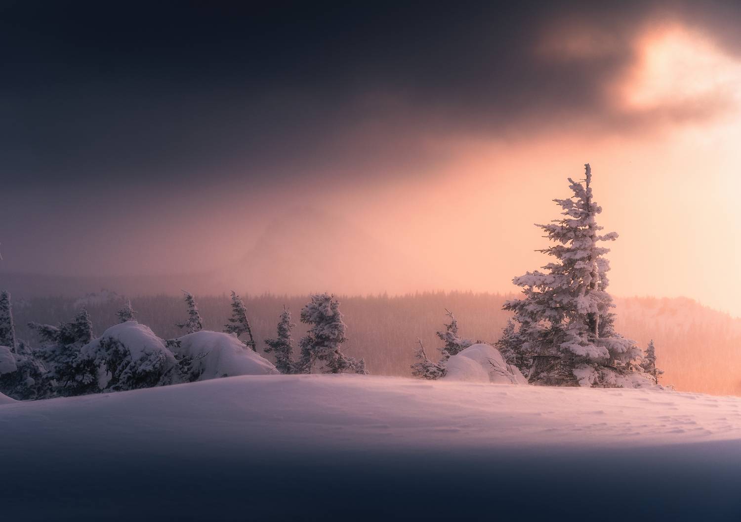 , Силантьев Даниил