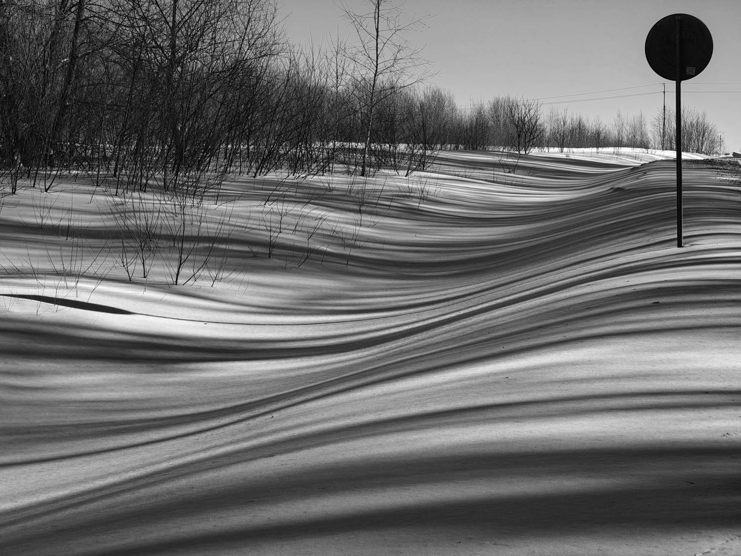 , Кондрашова Светлана