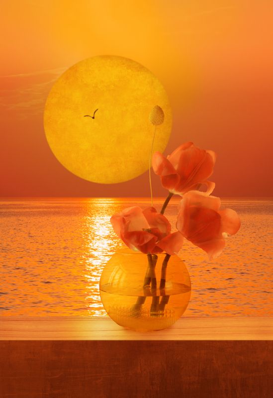 фото превью