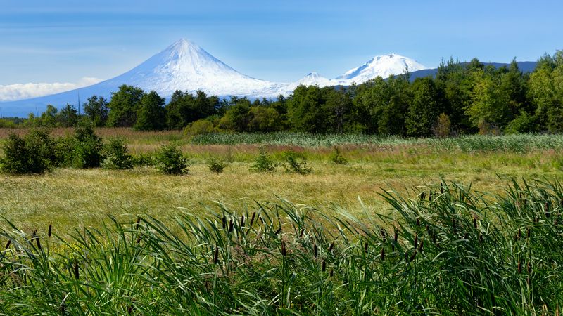 Шумел камыш. фото превью