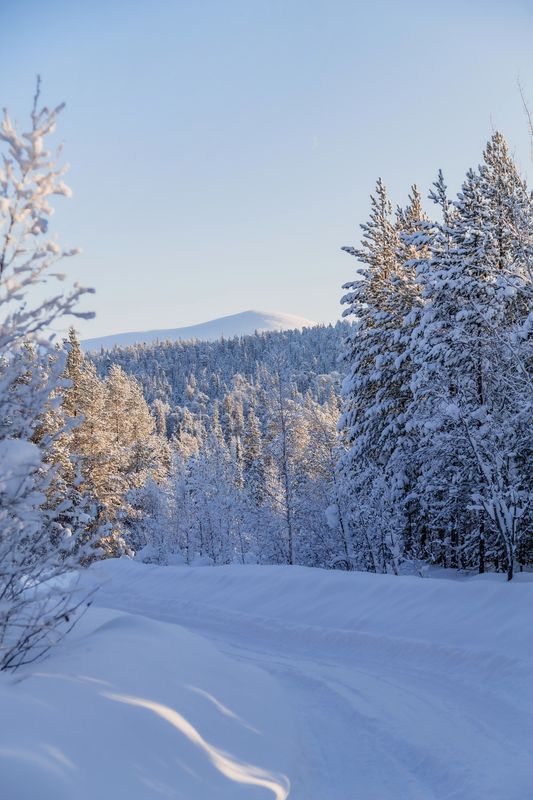Мурманская область, Кольский полуостров, Кандалакша, Волосяная сопка Фудзияма Кольского полуострова фото превью