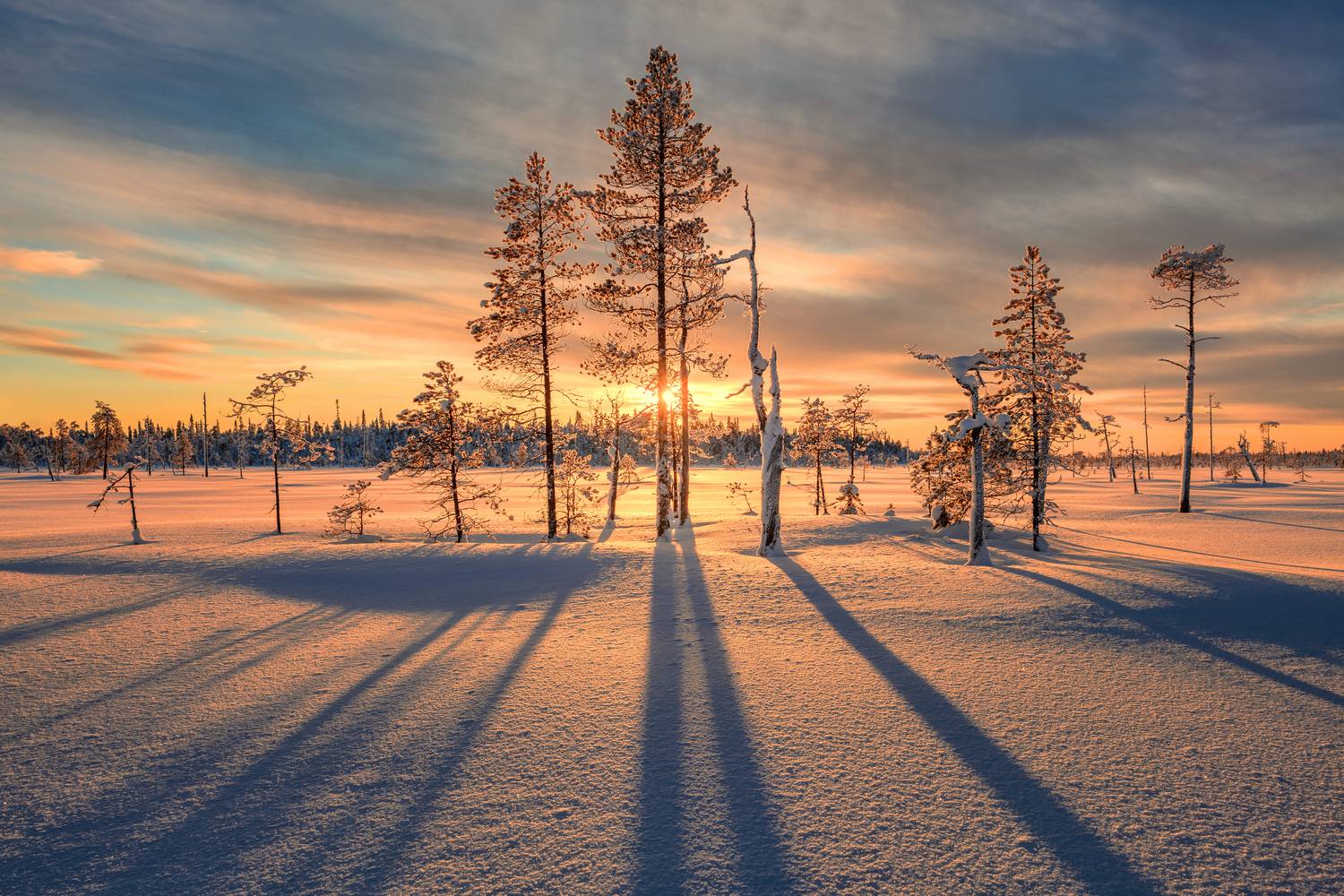карелия, болото, Евдокимов Максим