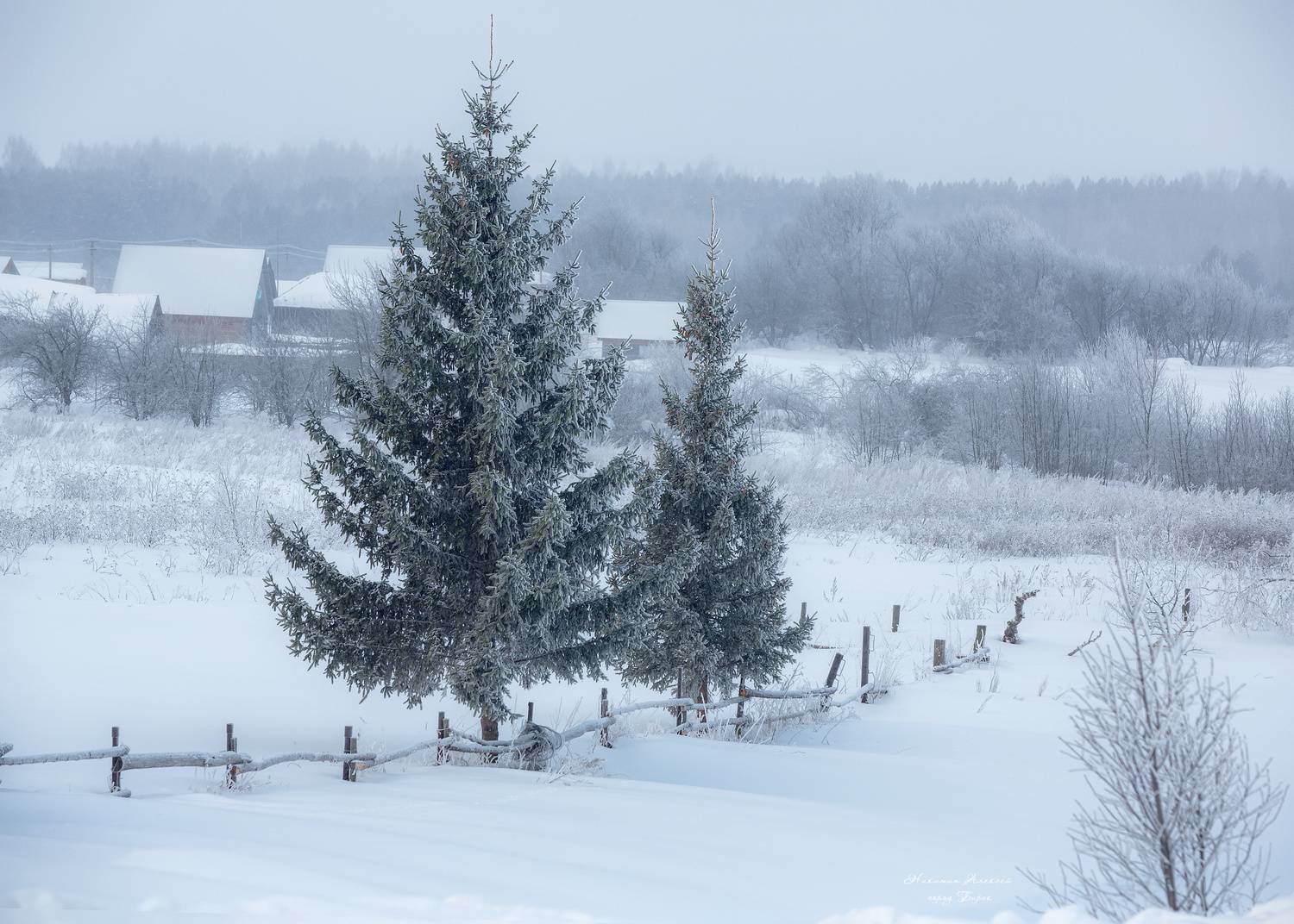 , Никитин Алексей