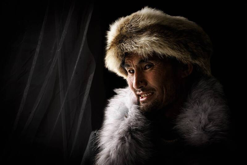 travel, pets  фото превью