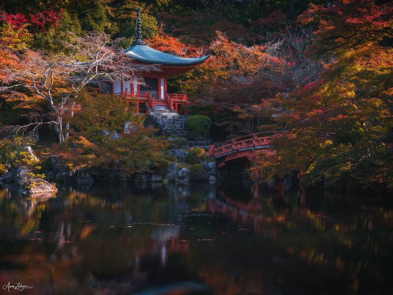 temple, kyoto, japan, autumn, travel, landscape, photography Daigo Ji Temple фото превью