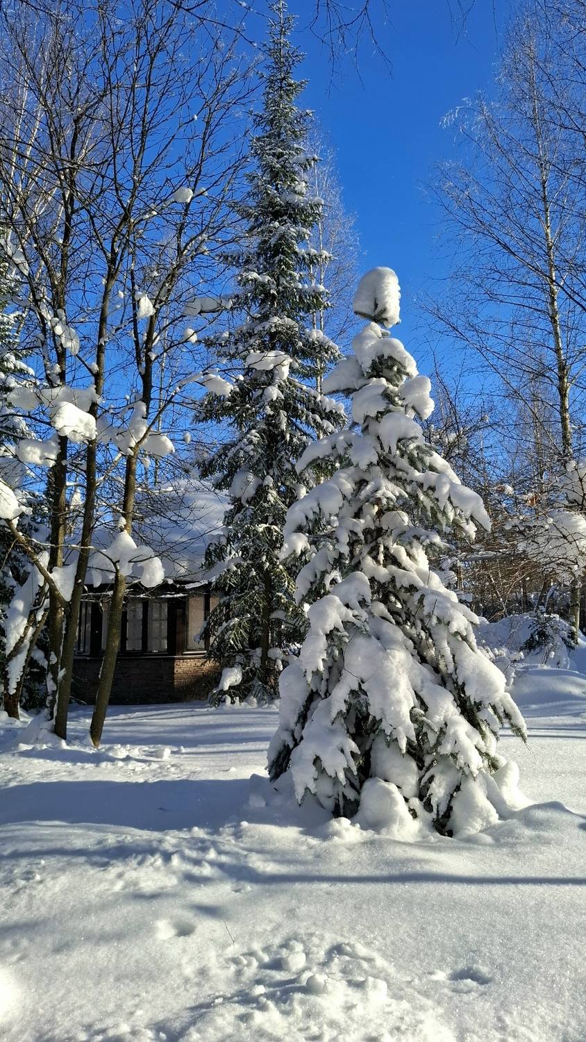 , Клапишевский Сергей