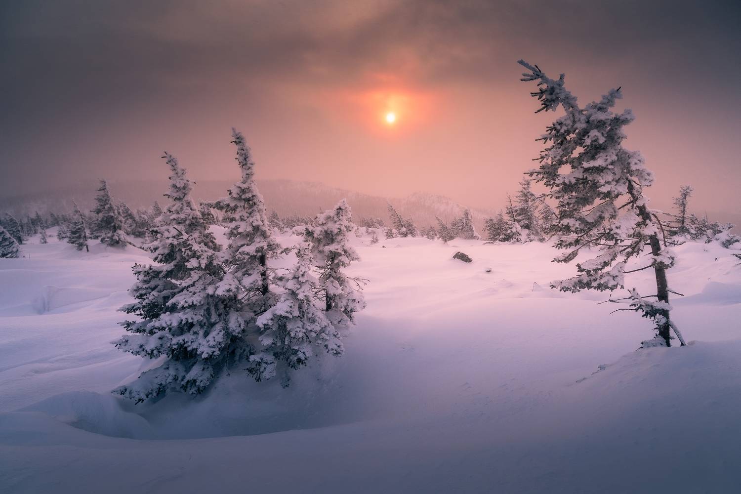 , Силантьев Даниил