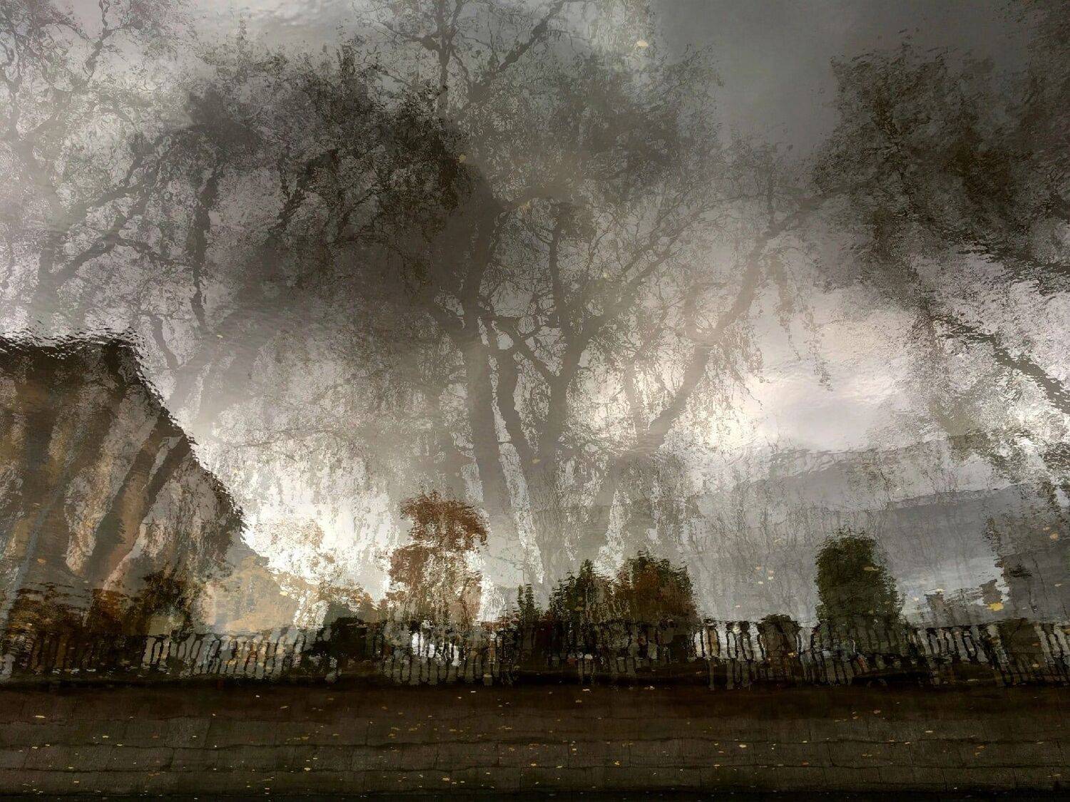 , Антон Лаба