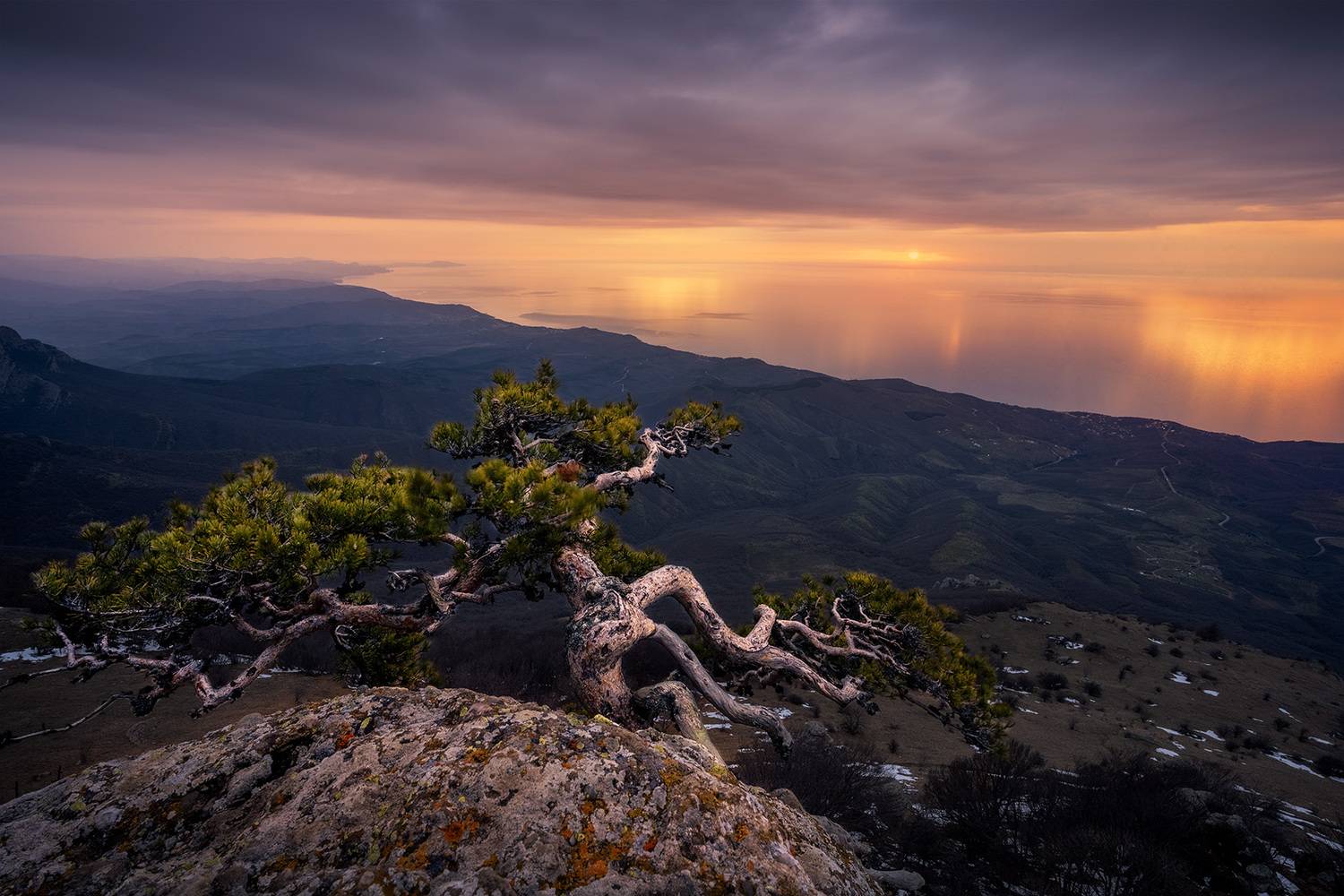 , Андрей Родионов