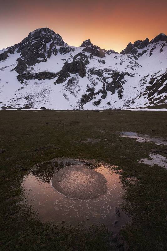 Primordial Egg фото превью