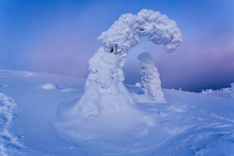 Мать и дитя фото превью