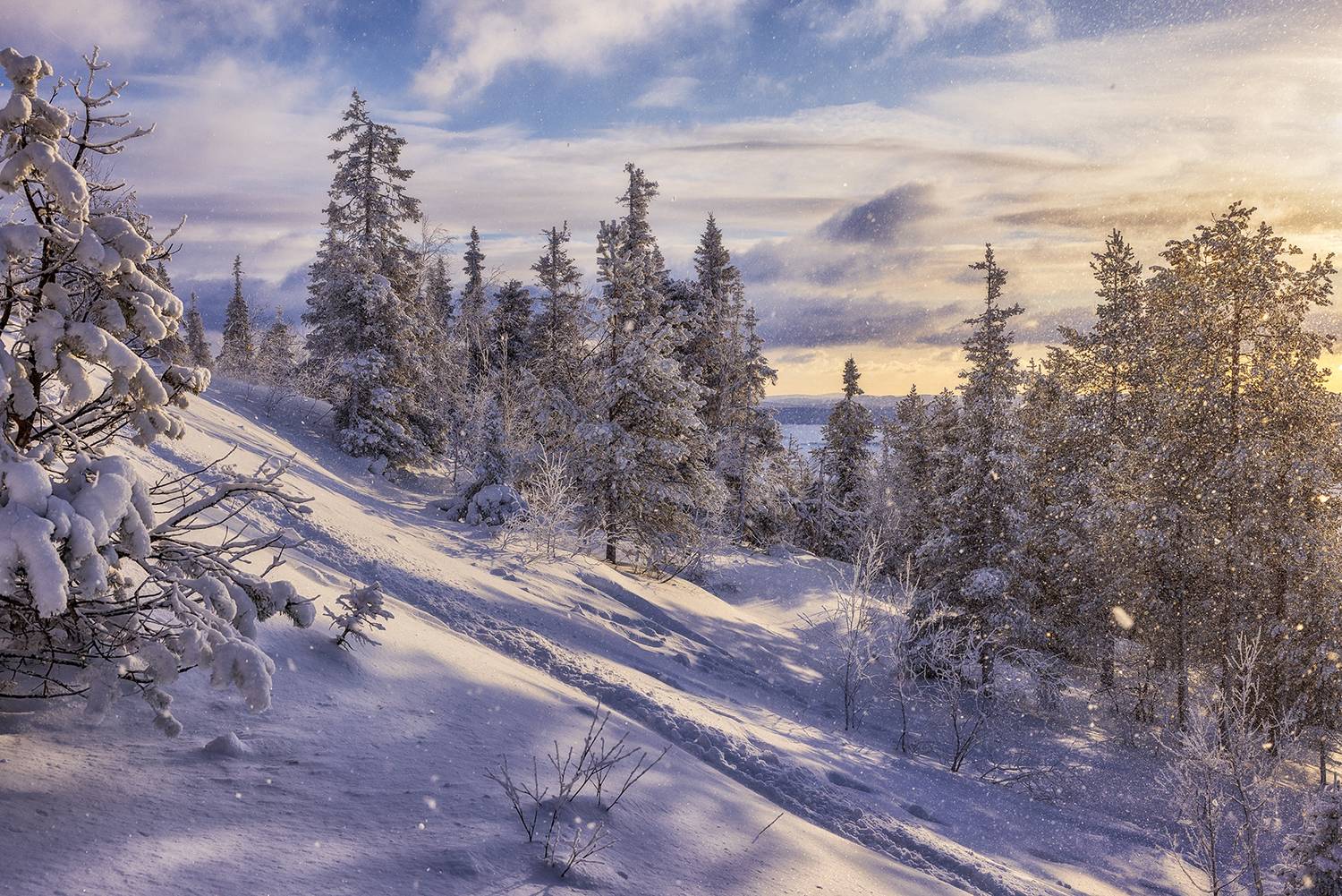 кольский полуостров, заполярье, Липецких Владимир