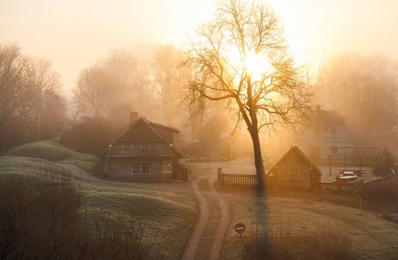 saule, migla, ainava, ceļš, koki. Saules pielietā ieleja фото превью