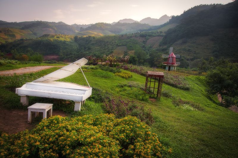 Белое пианино фото превью