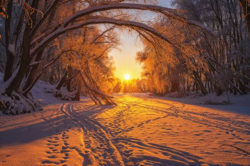 иней, закат, зима, снег, солнце иней фото превью