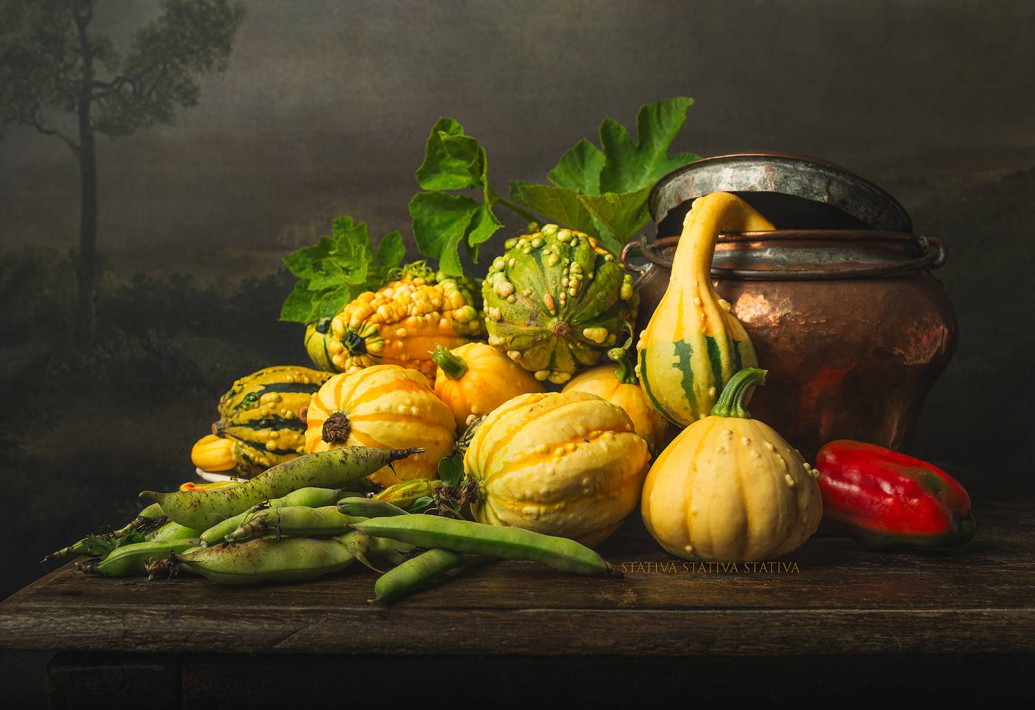 , Статива Юлия