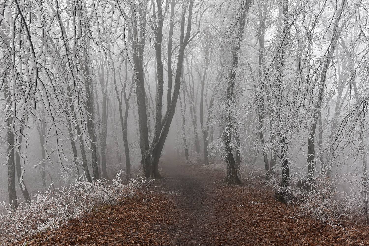 кизиловка, нальчик, кабардино-балкария, Хасан Журтов