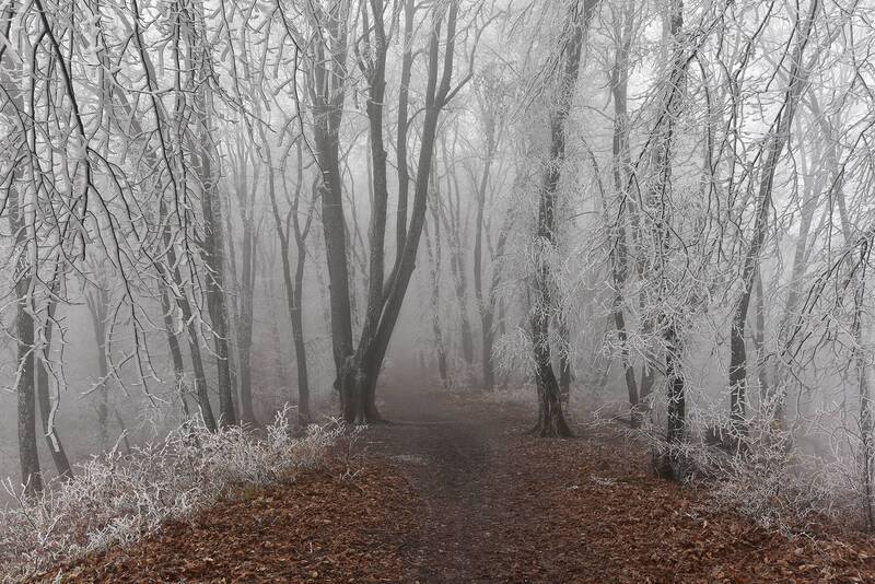 кизиловка, нальчик, кабардино-балкария Изморозь фото превью