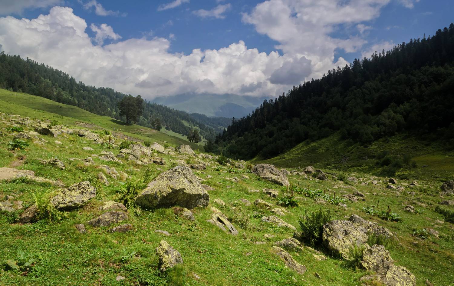 , Лысенко Сергей