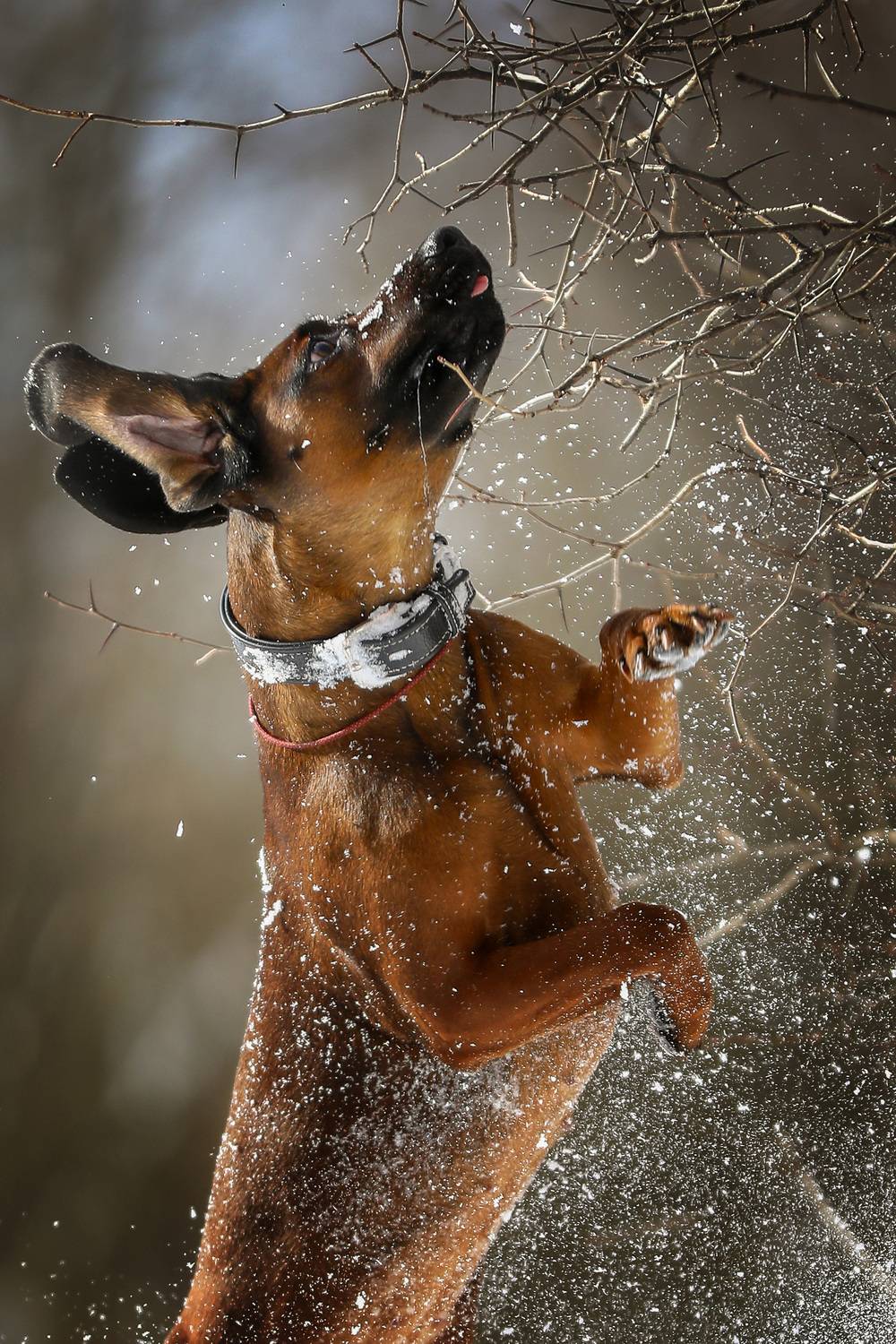 , Андрей Ершов