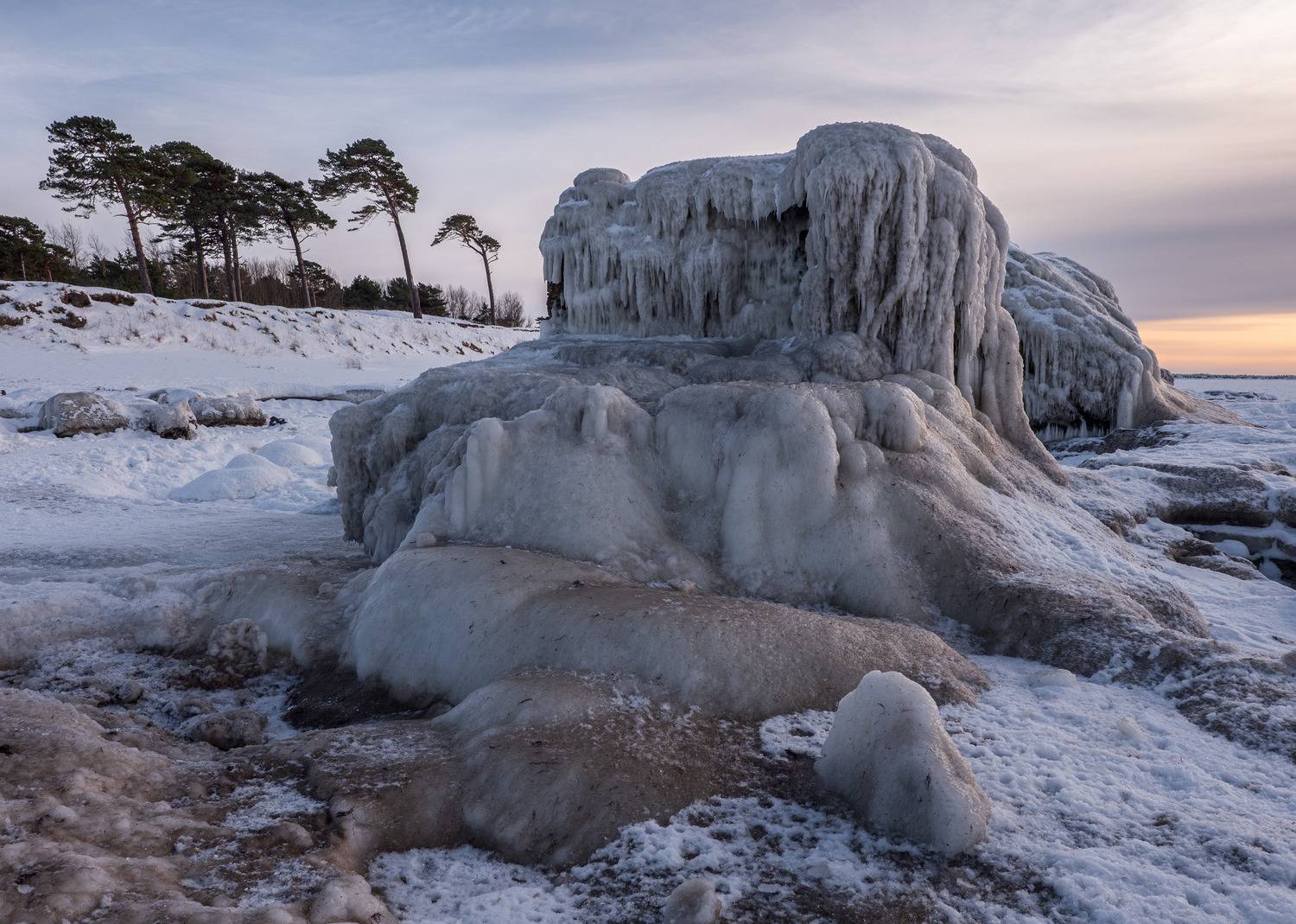 , Гордон Николай