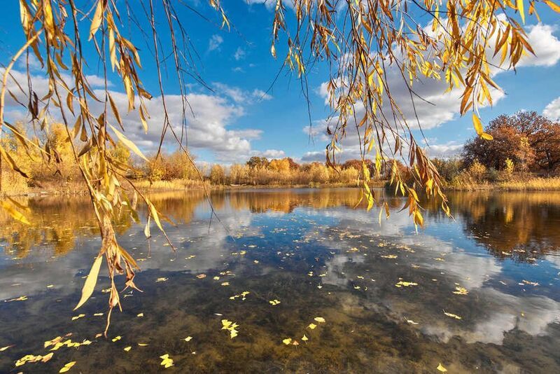 волга, ерик, осень Волжская осень фото превью
