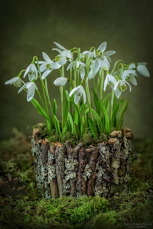 Весна близко... фото превью