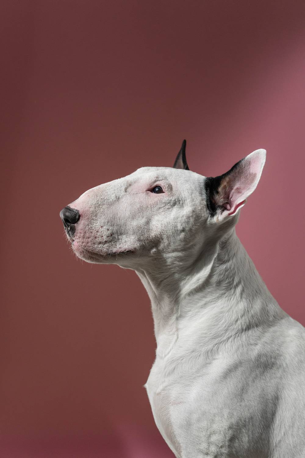 , Андрианова Ирина