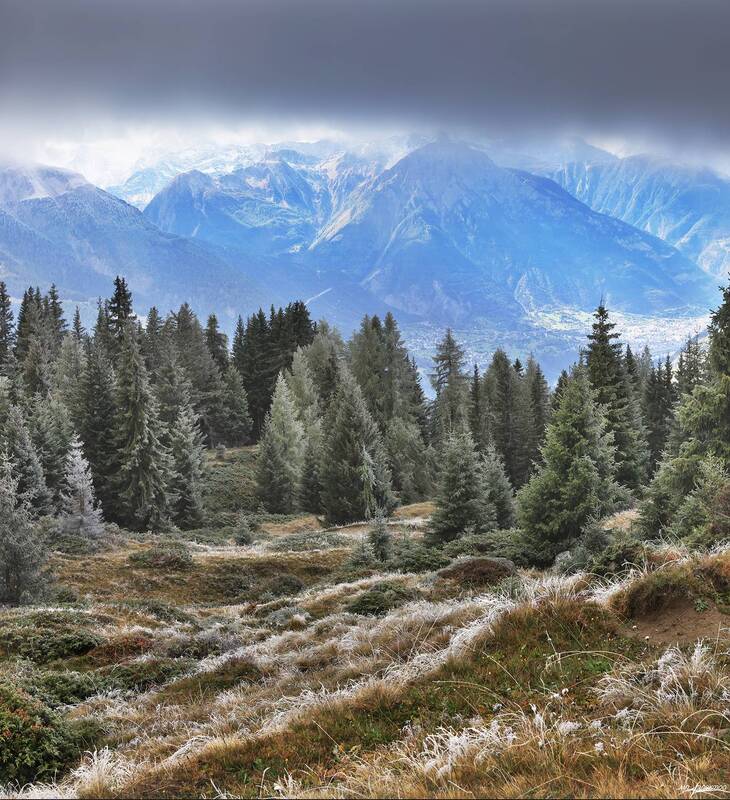 swiss Предзимье фото превью