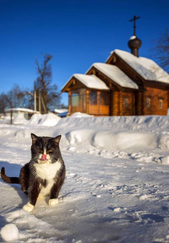 Свято-Покровский Добрый монастырь фото превью