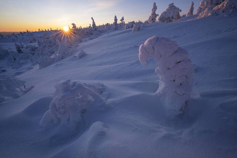 кольский полуостров, закат, волосяная сопка На Волосяной сопке. Креветка и паук фото превью