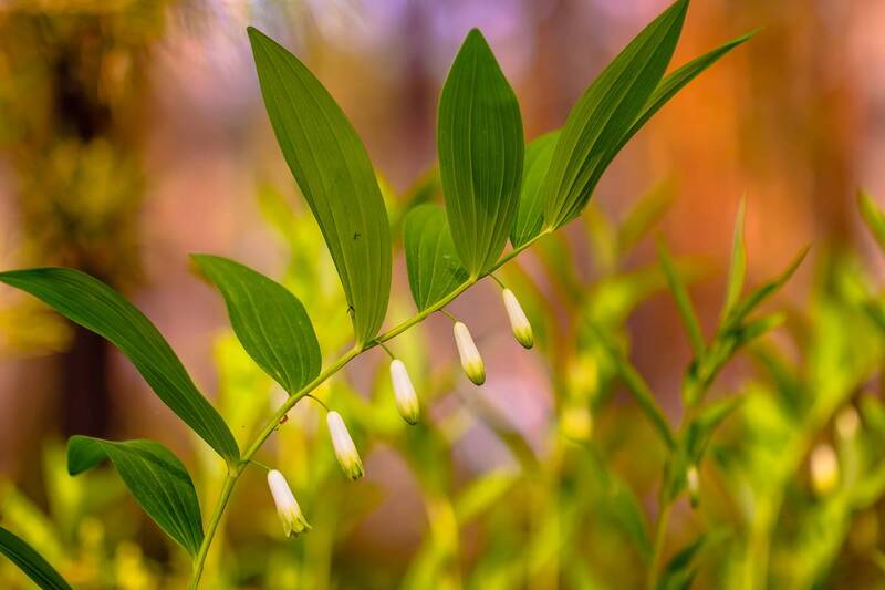 .... фото превью