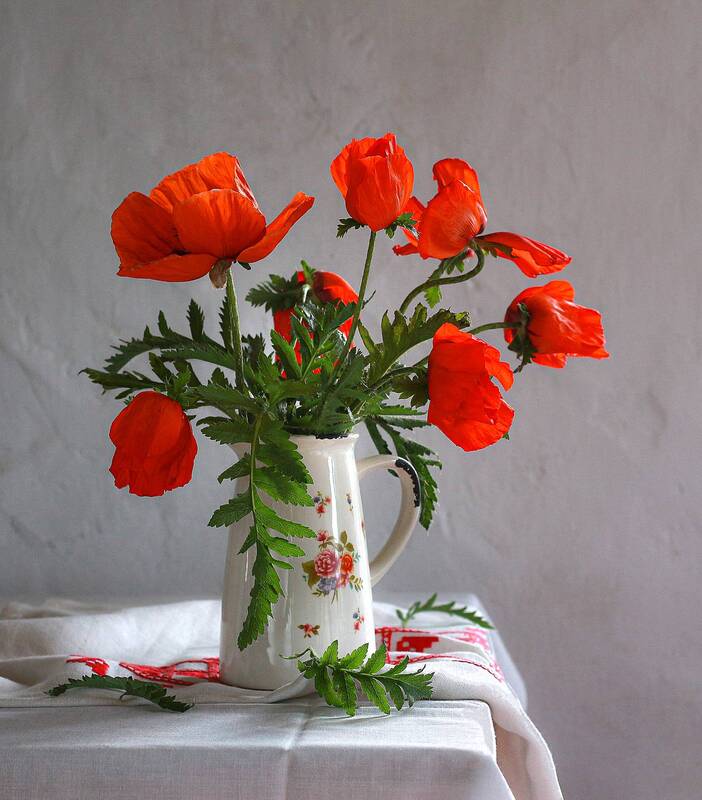 Ш фото превью