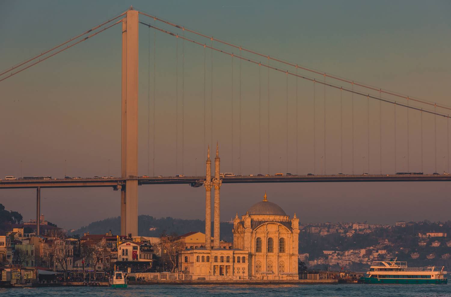 , Трепольский Дмитрий