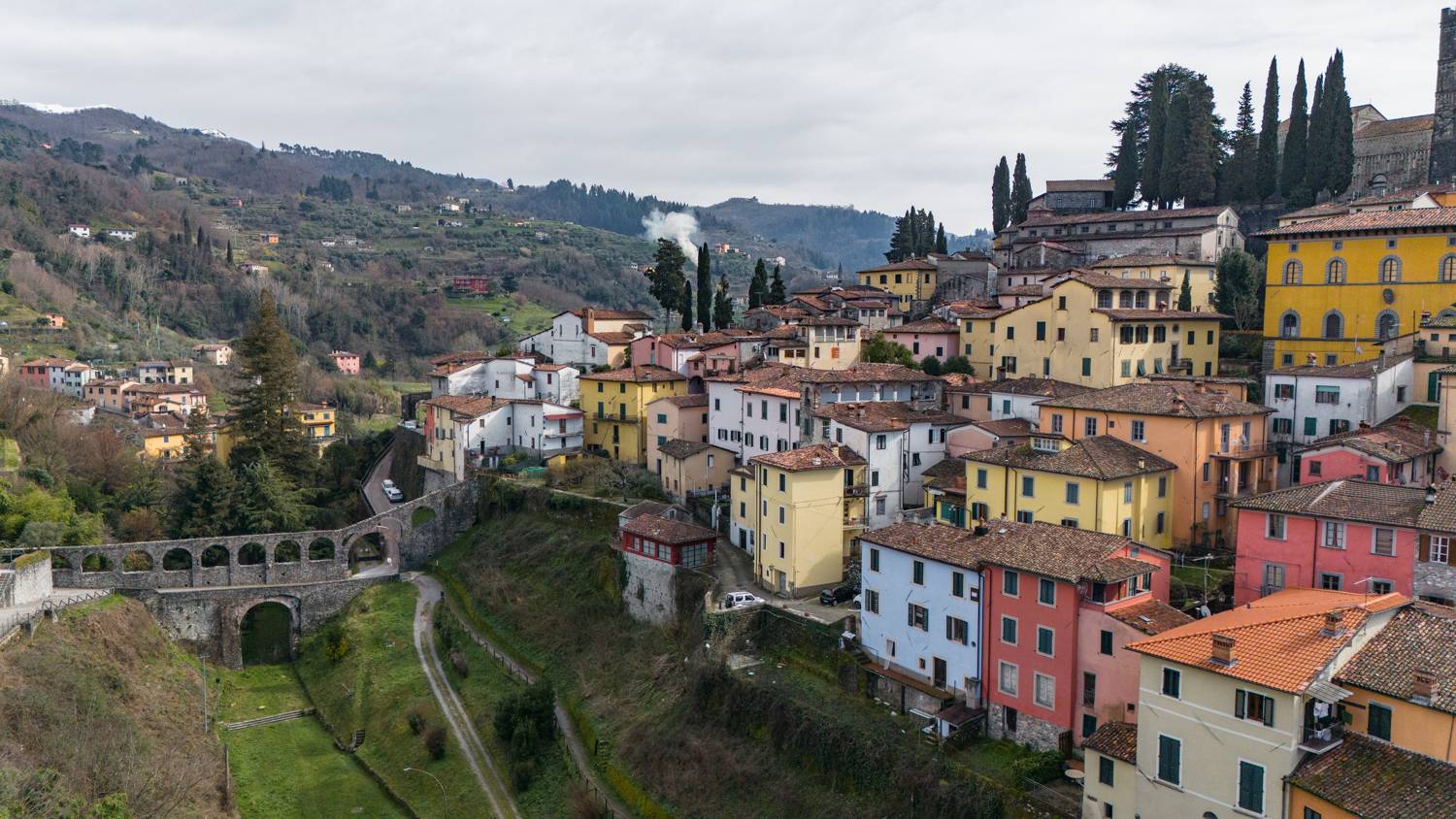 , Дария Максимова