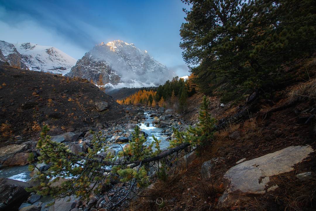 , Станислав Аристов