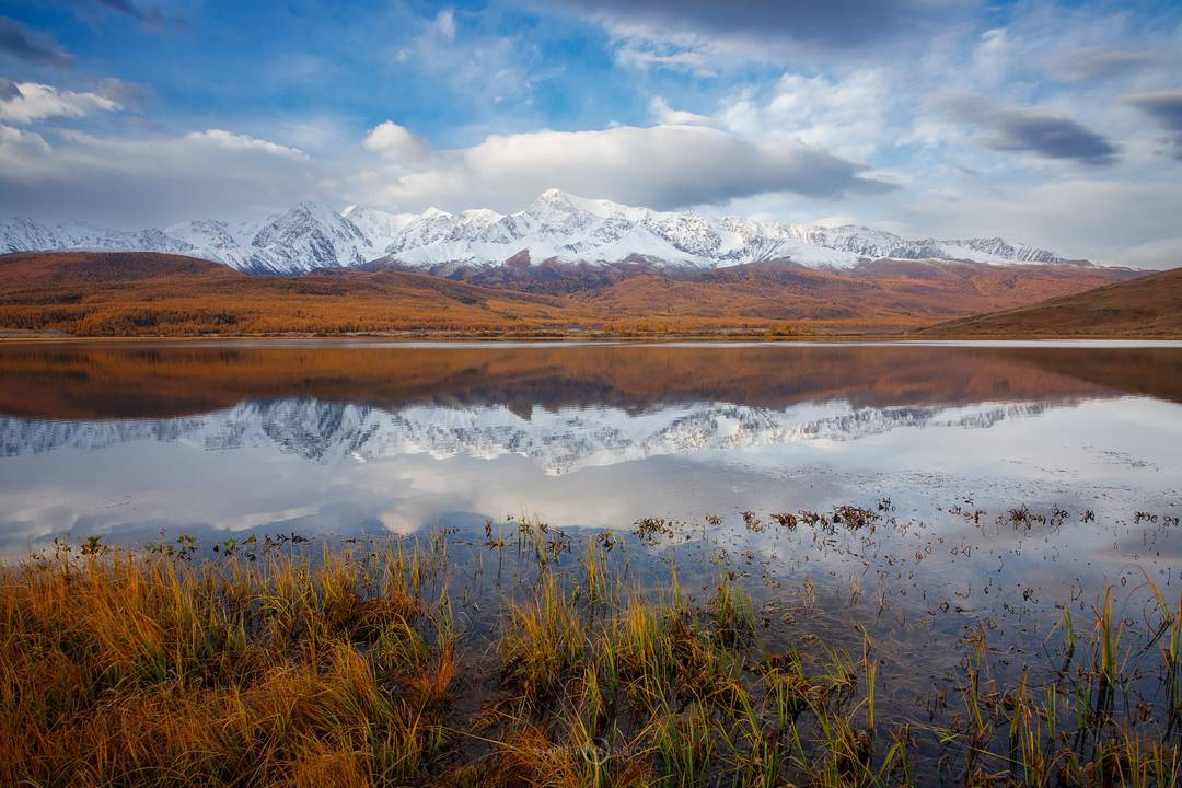 , Станислав Аристов