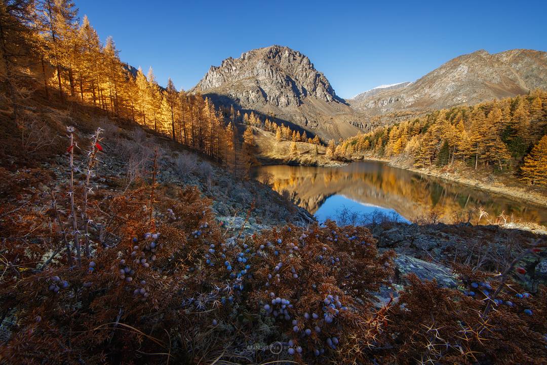 , Станислав Аристов