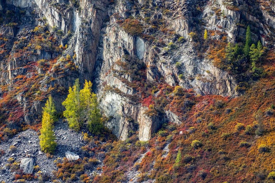 , Станислав Аристов