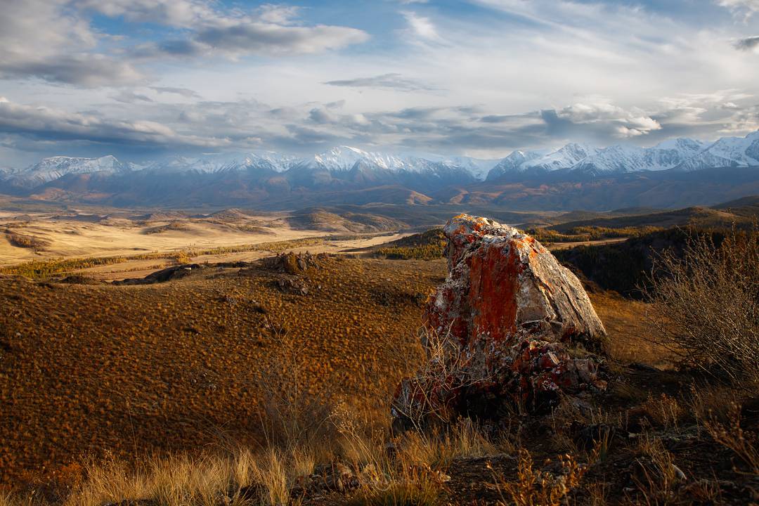 , Станислав Аристов