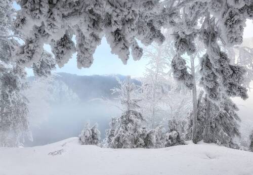 Под занавес