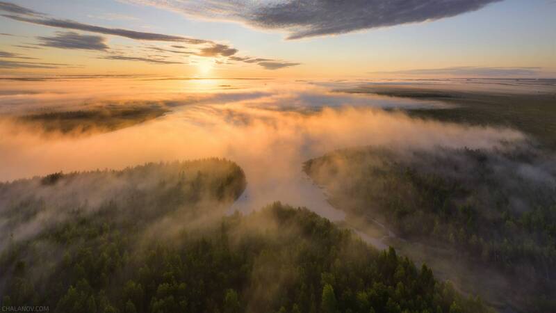 пейзаж, туман, рассвет, солнце, озеро, север, болото Туманная птица озера Дон ты фото превью