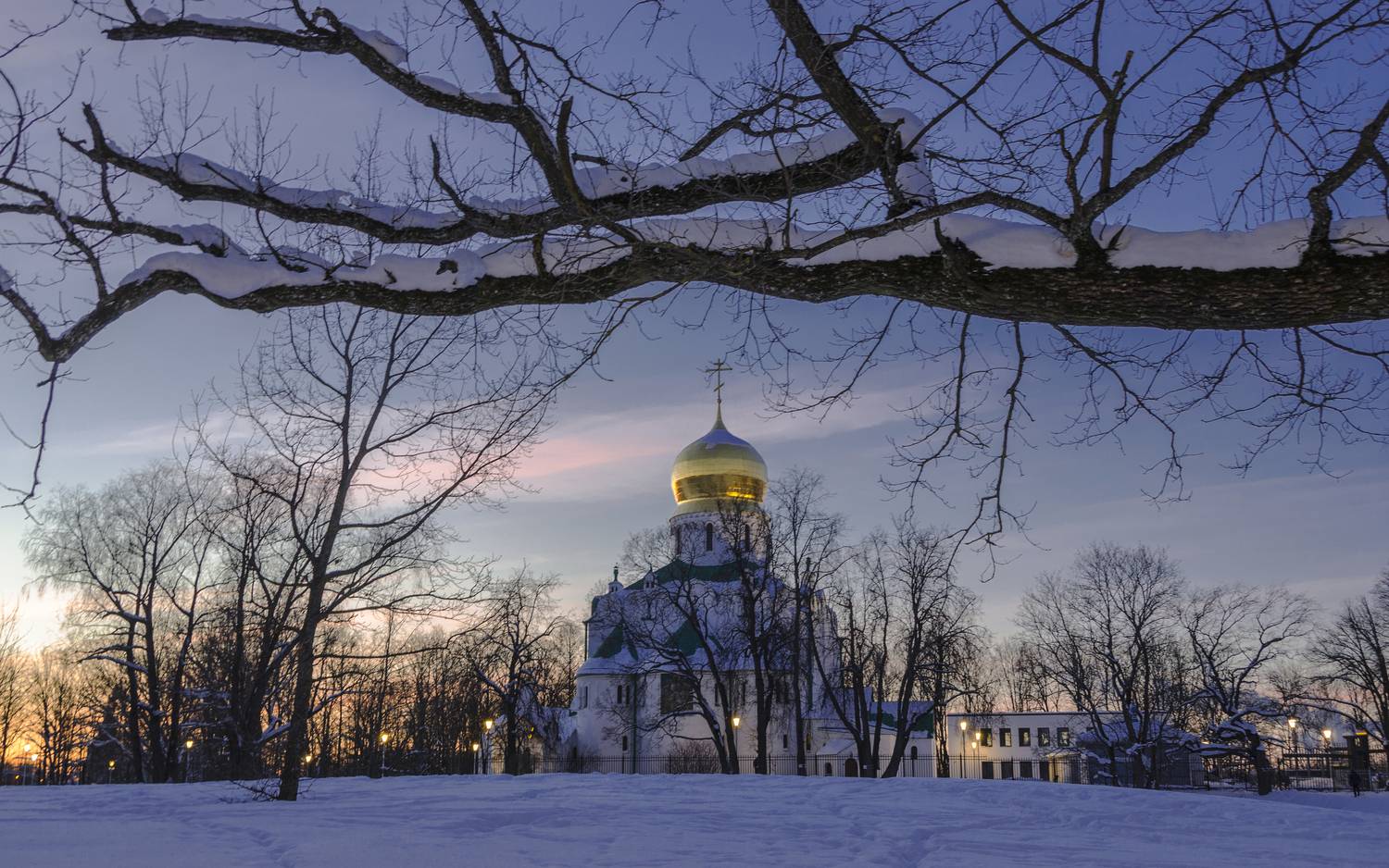 , Алексей Алешин