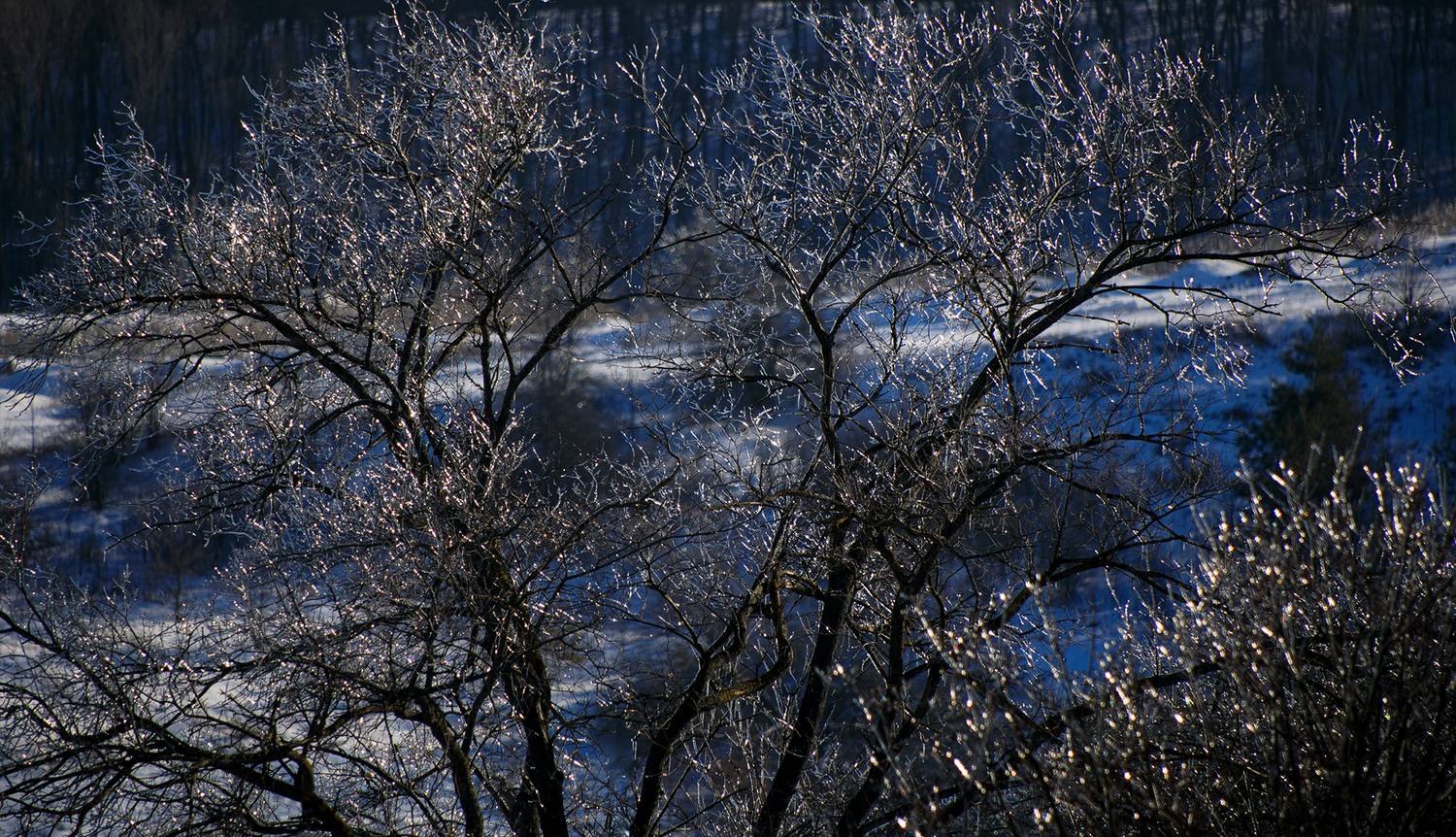 , Геннадий Литвинов