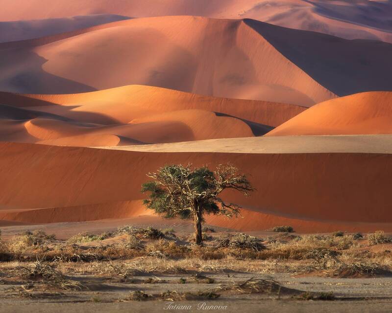 Дюны Соссусфлей фото превью