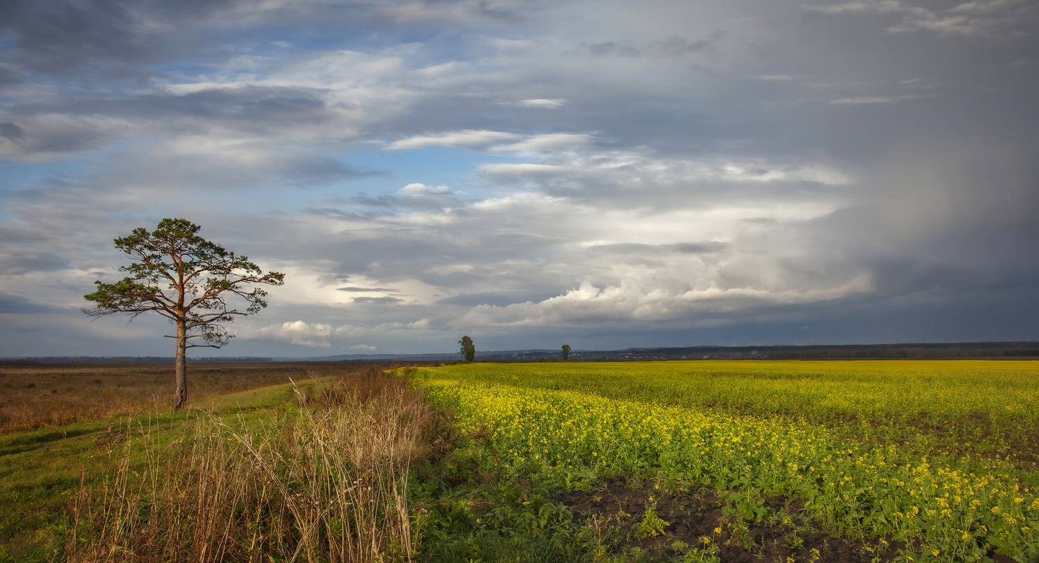 , Алексей Хахлов