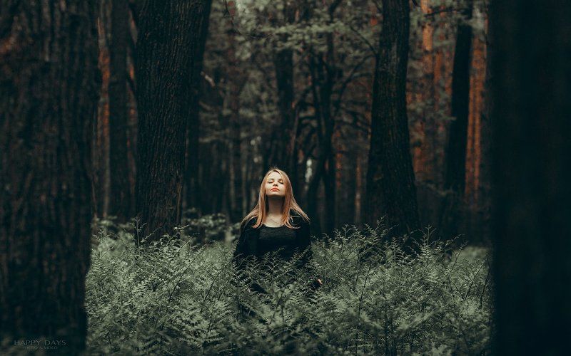 переход фото превью