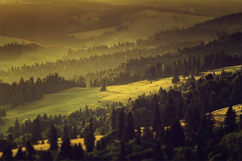 A Moment In The Sun X фото превью